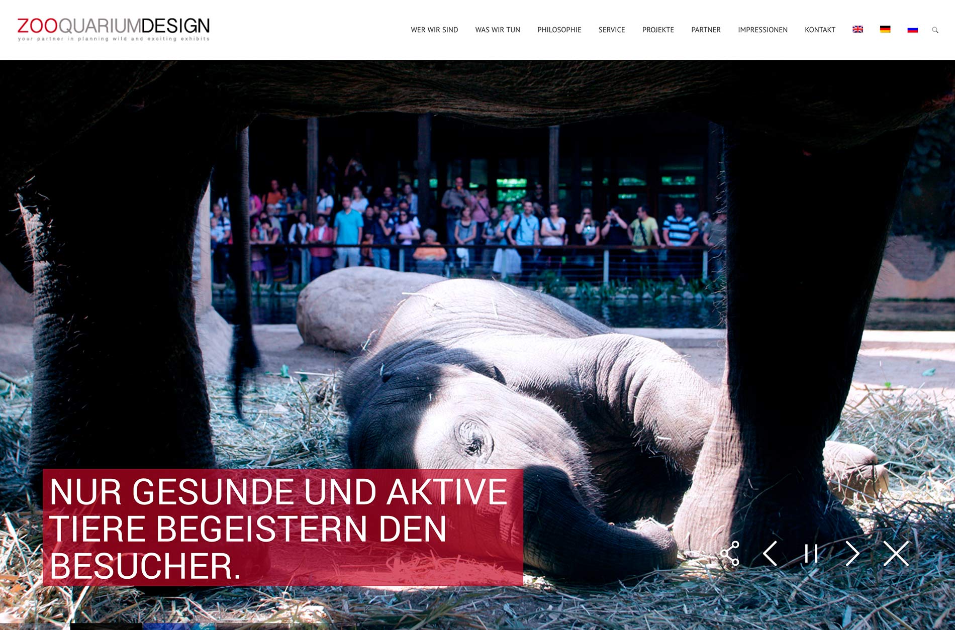 zooquariumdesign4